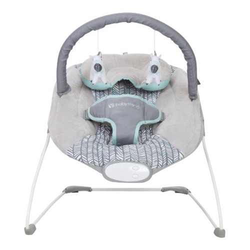 Babytrend Trend Ez Bouncer  Ziggy