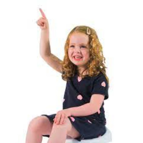 Diaper Champ One Pottychamp 3- In 1 Potty -Light Green