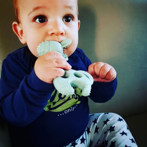 Diaper Champ One Bite Me Raff - Blue Grey/Solid Teether, Pack Of 1