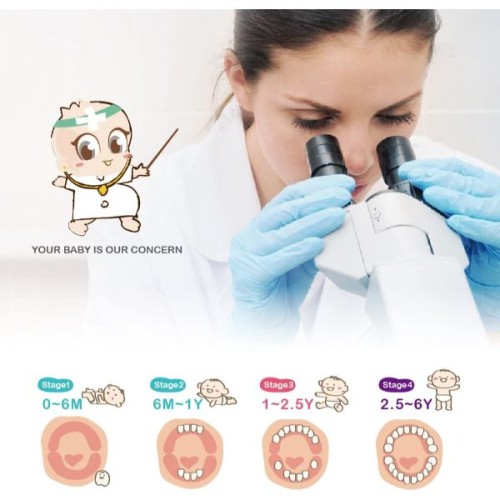 Farlin Baby Toothbrush Assister, Piece of 1