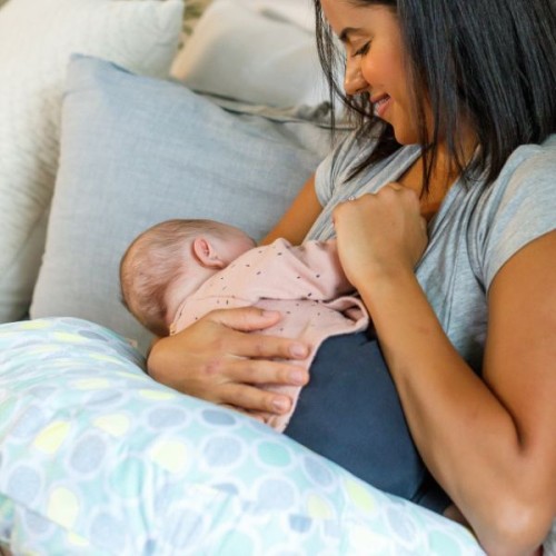 INGENUITY Plenti+Nursing Pillow - Willow Sweeps