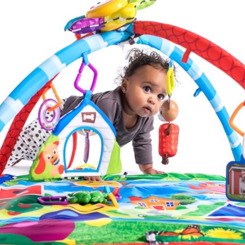 Baby Einstein Caterpillar & Friends Play Gym Activity Gym, Multicolour