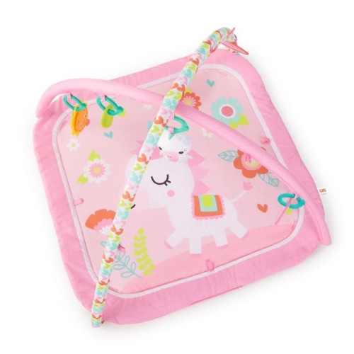 Bright Starts Daydream Blooms Activity Gym, Pink