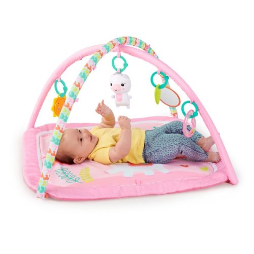 Bright Starts Daydream Blooms Activity Gym, Pink