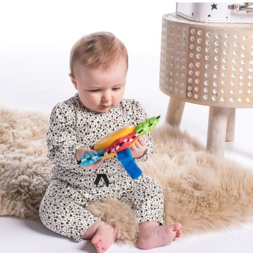 BABY EINSTEIN Star Bright Symphony Take-Along Toy, Multicolour