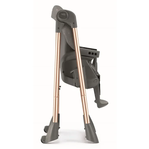 Cam PappaNanna Rose Gold