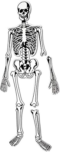 Learning Resources Skeleton Foam Floor Puzzle