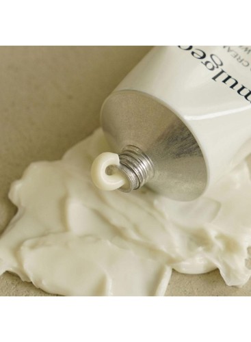 Hand cream Antique White, camellia seed oil and shea butter to hydrate Korean Sk