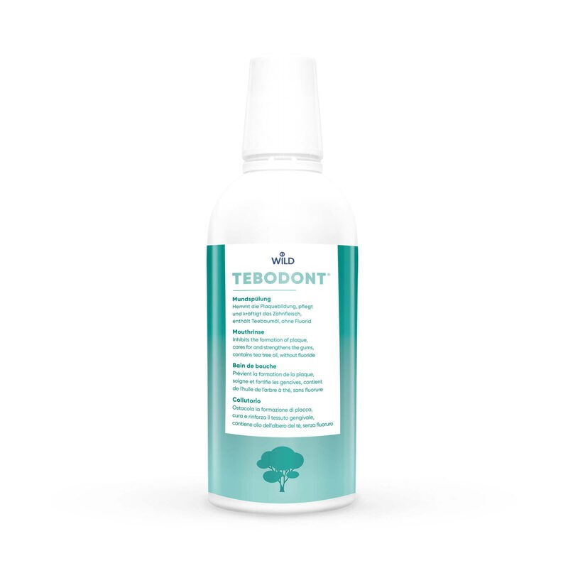 Tebodont Mouth Wash 500 Ml