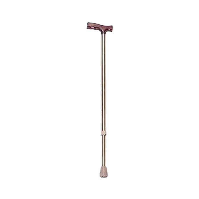 Gmp-Cn5 Std Walking Cane Stick