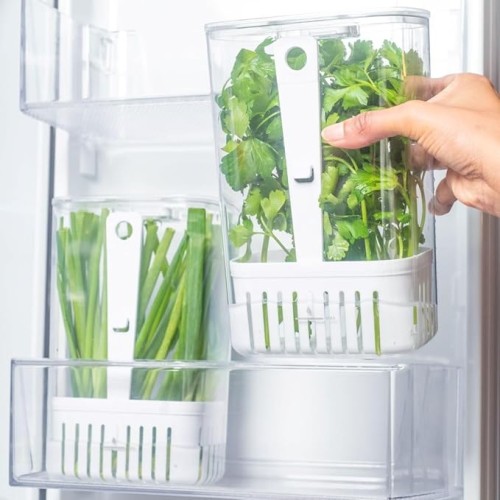 Ou Clear Fresh Organizer, 2.8 Liter Capacity, Natural