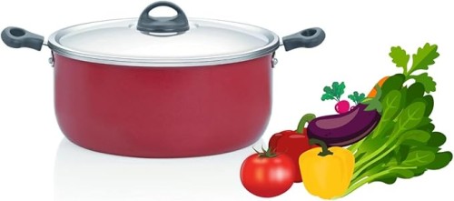 Premier Non-Stick Stew Pot Classic  with Stainless Steel Lid - 20 cm