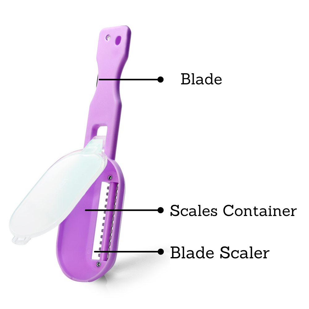 Fissman Moon Shaped Fish Scale Scraper Knife With Container Purple 20cm