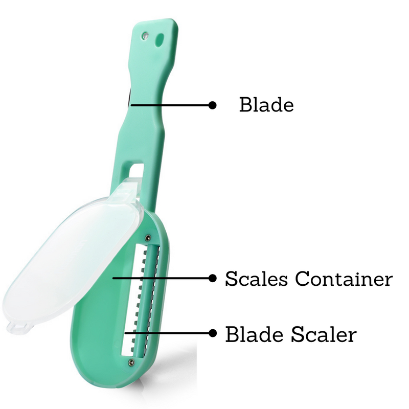 Fissman Moon Shaped Fish Scaler Knife with Container Green 20cm