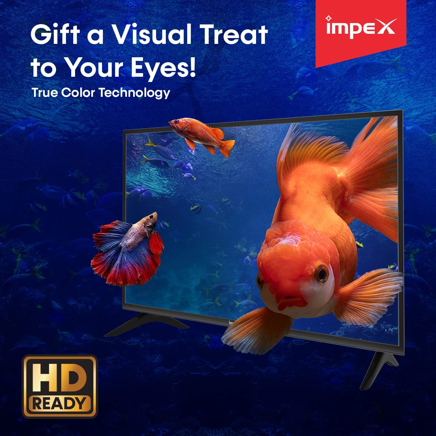 Impex Gloria 24 , 24" HD LED TV