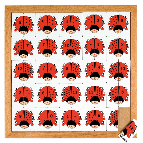 Educo Beetle Counting Puzzle