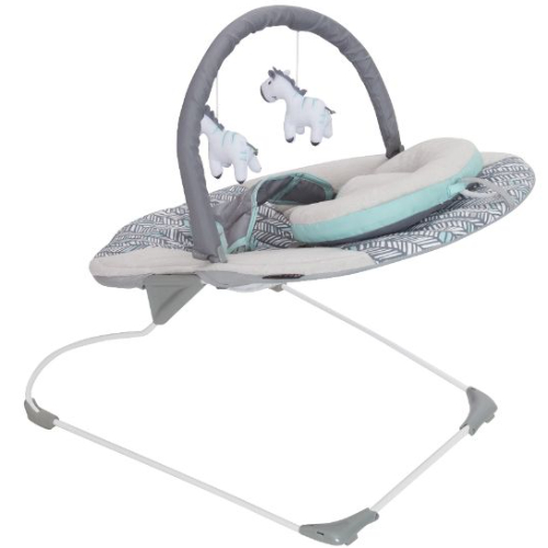 Babytrend Trend Ez Bouncer  Ziggy