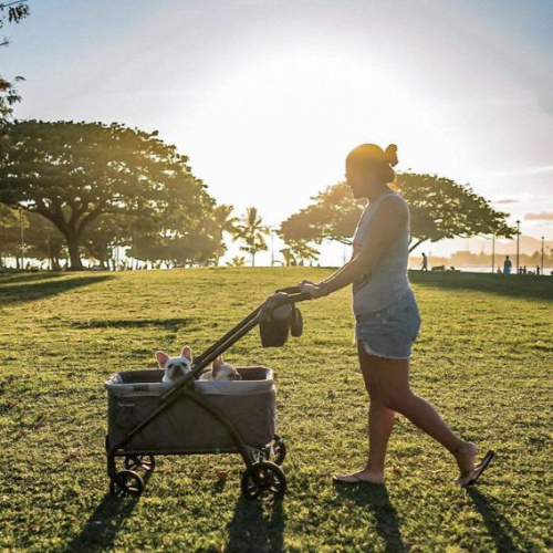 Babytrend 2-In-1 Tour Lte Stroller Wagon - Desert Blue