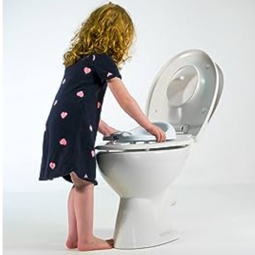 Diaper Champ One Pottychamp 3- In 1 Potty - Silver
