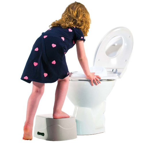 Diaper Champ One Pottychamp 3- In 1 Potty - Silver