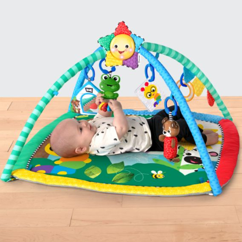 Baby Einstein Caterpillar & Friends Play Gym Activity Gym, Multicolour
