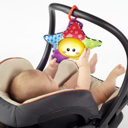 Baby Einstein Caterpillar & Friends Play Gym Activity Gym, Multicolour