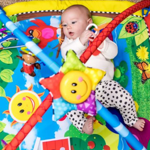 Baby Einstein Caterpillar & Friends Play Gym Activity Gym, Multicolour