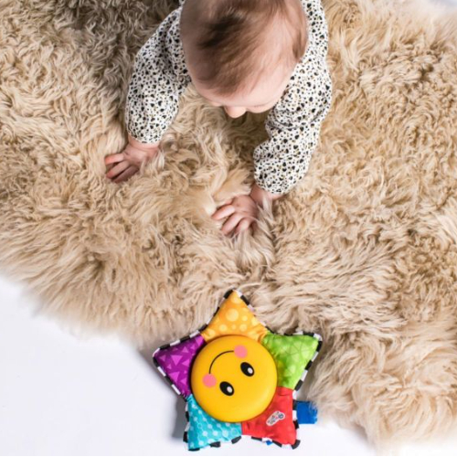 BABY EINSTEIN Star Bright Symphony Take-Along Toy, Multicolour