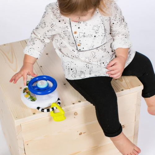 Baby Einstein Go Grippers 6-pc Car Set