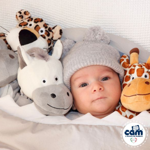 Cam Culla Sempreconte Co-Sleeping Bedside Cradle - Light Grey