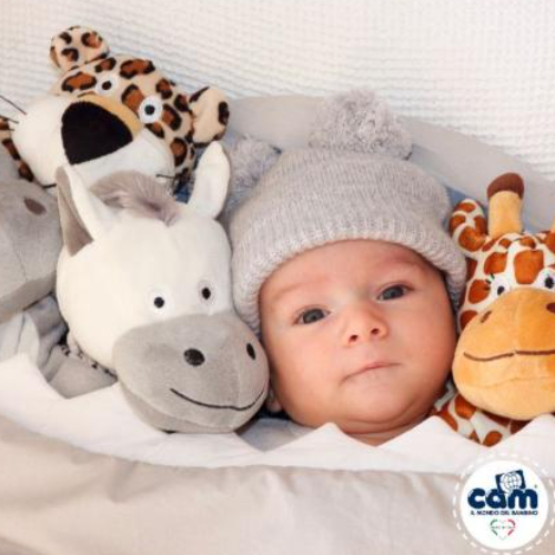 Cam - Stand Up For Carrycot & Carseat