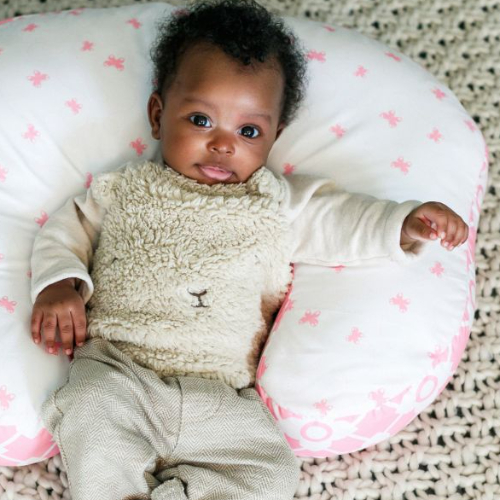 INGENUITY Plenti+Nursing Pillow - Wing Dance