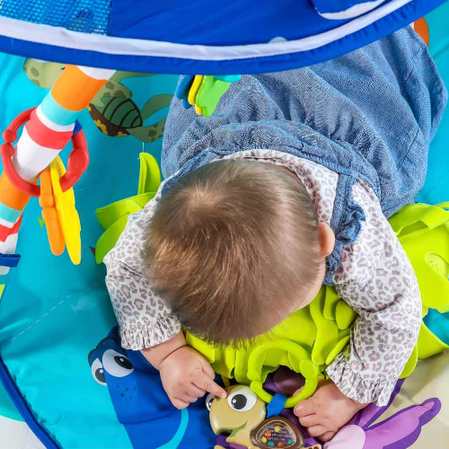 Disney Baby  Finding Nemo Mr. Ray Ocean Lights & Music Gym, Blue