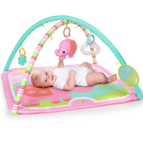 Bright Starts Fanciful Flowers Activity Gym, Pink