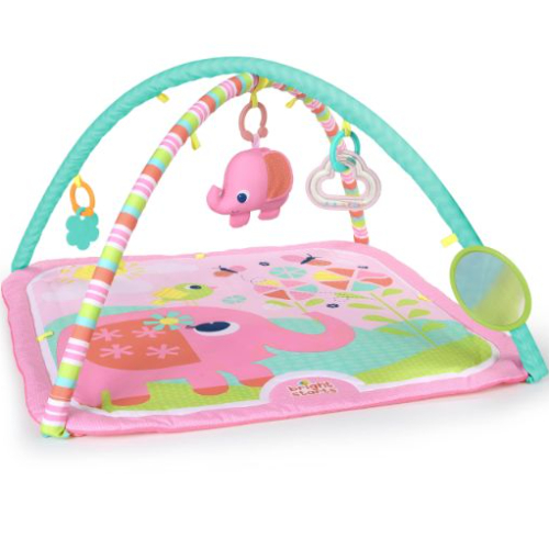 Bright Starts Fanciful Flowers Activity Gym, Pink