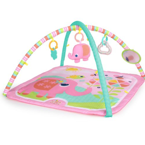 Bright Starts Fanciful Flowers Activity Gym, Pink