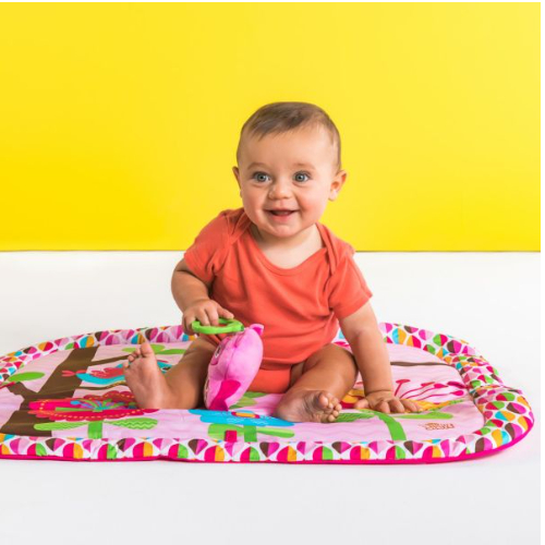 Bright Starts Charming Chirps Activity Gym, Pink
