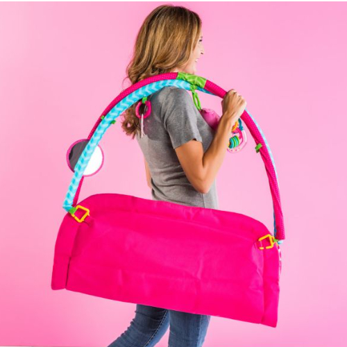 Bright Starts Charming Chirps Activity Gym, Pink