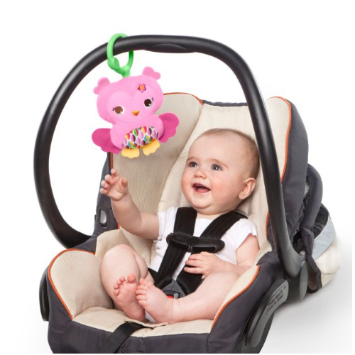 Bright Starts Charming Chirps Activity Gym, Pink