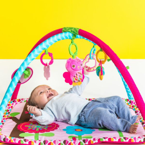 Bright Starts Charming Chirps Activity Gym, Pink