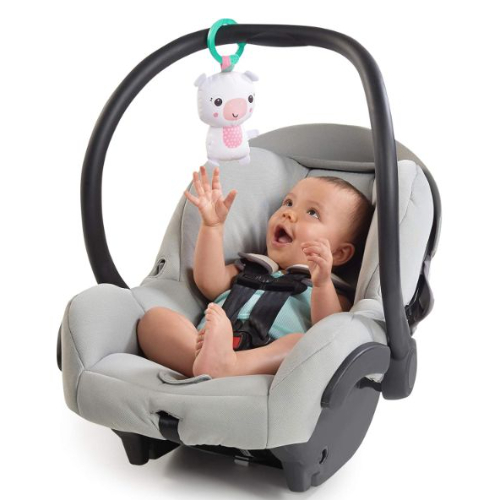 Bright Starts Daydream Blooms Activity Gym, Pink