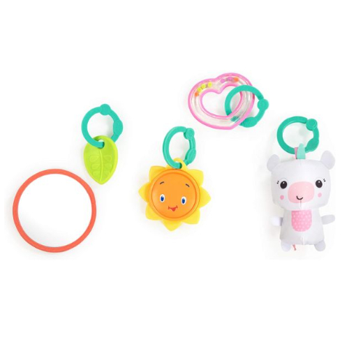 Bright Starts Daydream Blooms Activity Gym, Pink