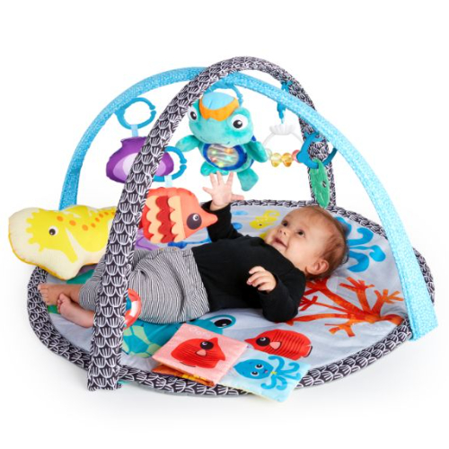Baby Einstein Sea Friends Activity Gym, Grey