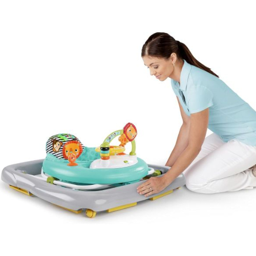 Bright starts Zig Zag Zebra Walker