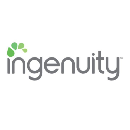 INGENUITY Plenti+Nursing Pillow - Willow Sweeps