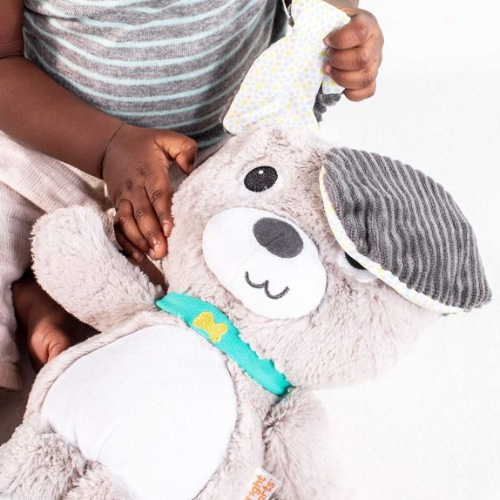 Bright Starts Belly Laughs Puppy Plush Toy