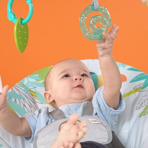 Bright Starts Rainforest Vibes Portable Swing, Multicolour