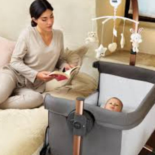 Cullami Co Bed Cradle, Light Grey, Made In Italy Cradle With Co-Sleeping Functio