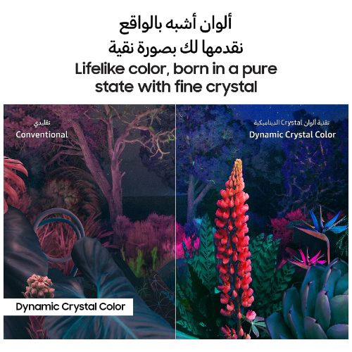 Samsung 55 Inch TV Crystal UHD 4K Crystal Processor 4K Airslim Dynamic Crystal C