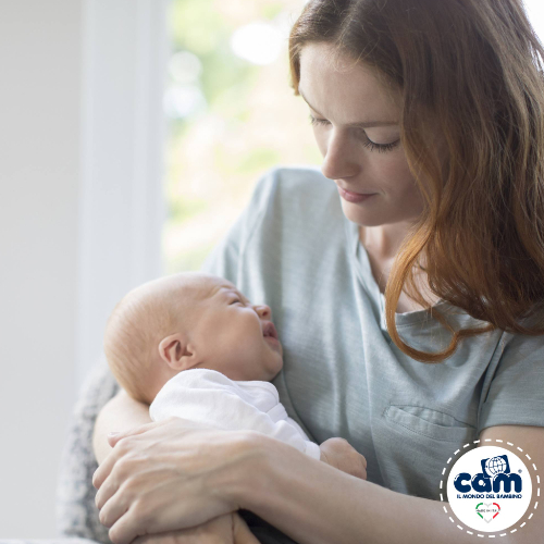 Cam Compass Stroller Rose